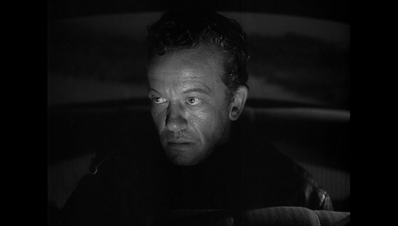 The Hitch-Hiker